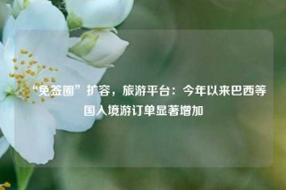 “免签圈”扩容，旅游平台：今年以来巴西等国入境游订单显著增加