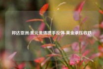 邦达亚洲:美元美债携手反弹 黄金承压收跌