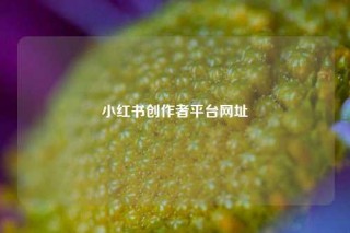 小红书创作者平台网址