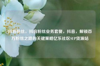 抖音粉丝，抖音粉丝业务套餐，抖音，解锁百万粉丝之路的关键策略亿乐社区SUP货源站