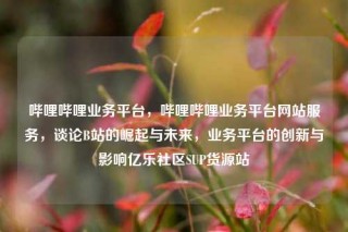 哔哩哔哩业务平台，哔哩哔哩业务平台网站服务，谈论B站的崛起与未来，业务平台的创新与影响亿乐社区SUP货源站