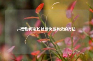 抖音如何涨粉丝最快最有效的方法