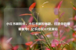 小红书刷粉丝，小红书刷粉秘籍，打造你的明星账号！亿乐社区SUP货源站