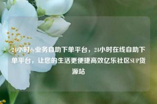 24小时dy业务自助下单平台，24小时在线自助下单平台，让您的生活更便捷高效亿乐社区SUP货源站
