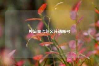 纯流量卡怎么注销账号