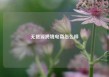 无货源跨境电商怎么样