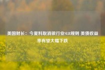 美国财长：今夏料取消银行业SLR规则 美债收益率有望大幅下跌