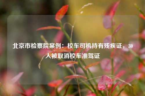 北京市检察院案例：校车司机持有残疾证，30人被取消校车准驾证  第1张