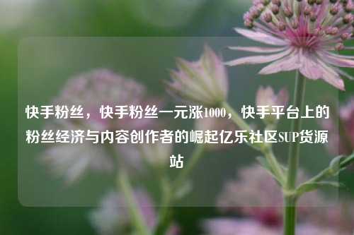 快手粉丝，快手粉丝一元涨1000，快手平台上的粉丝经济与内容创作者的崛起亿乐社区SUP货源站  第1张