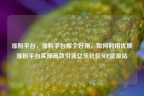 涨粉平台，涨粉平台那个好用，如何利用优质涨粉平台实现高效引流亿乐社区SUP货源站  第1张