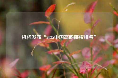 机构发布“2025中国高职院校排名”  第1张