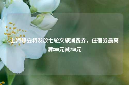 上海静安将发放七轮文旅消费券，住宿券最高满800元减250元  第1张