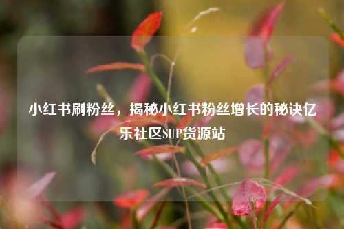 小红书刷粉丝，揭秘小红书粉丝增长的秘诀亿乐社区SUP货源站  第1张