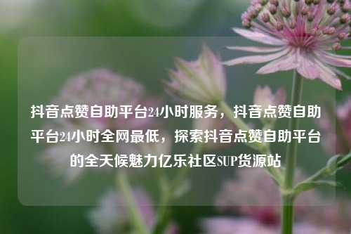 抖音点赞自助平台24小时服务，抖音点赞自助平台24小时全网最低，探索抖音点赞自助平台的全天候魅力亿乐社区SUP货源站  第1张