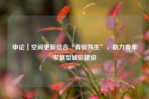 申论｜空间更新结合“青银共生”，助力青年发展型城区建设  第1张