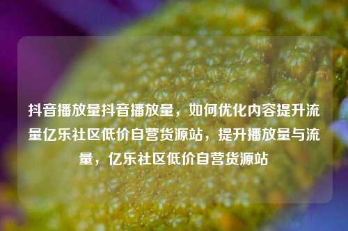 抖音播放量抖音播放量，如何优化内容提升流量亿乐社区低价自营货源站，提升播放量与流量，亿乐社区低价自营货源站  第1张