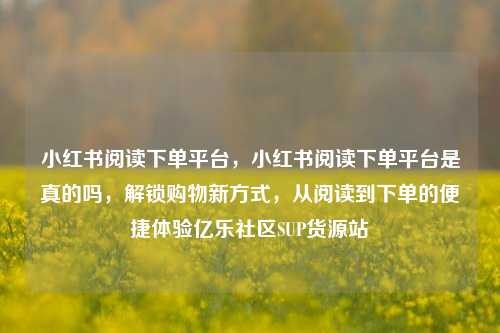 小红书阅读下单平台，小红书阅读下单平台是真的吗，解锁购物新方式，从阅读到下单的便捷体验亿乐社区SUP货源站  第1张