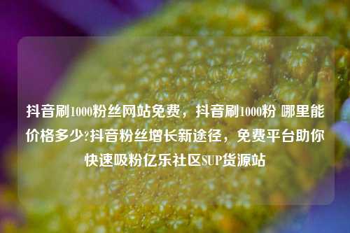 抖音刷1000粉丝网站免费，抖音刷1000粉 哪里能价格多少?抖音粉丝增长新途径，免费平台助你快速吸粉亿乐社区SUP货源站  第1张