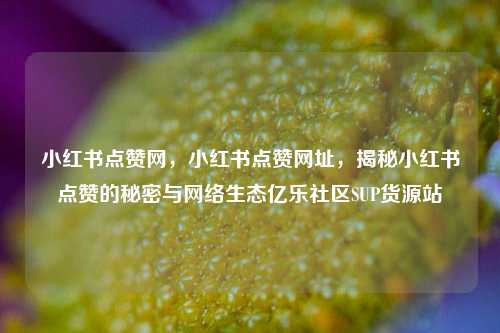小红书点赞网，小红书点赞网址，揭秘小红书点赞的秘密与网络生态亿乐社区SUP货源站  第1张