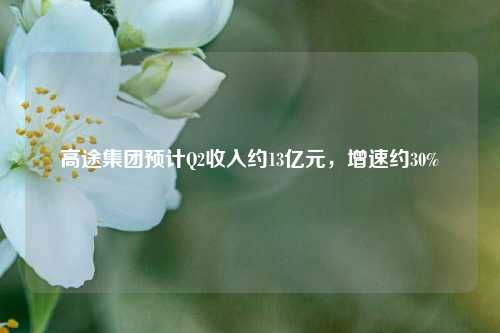高途集团预计Q2收入约13亿元，增速约30%  第1张