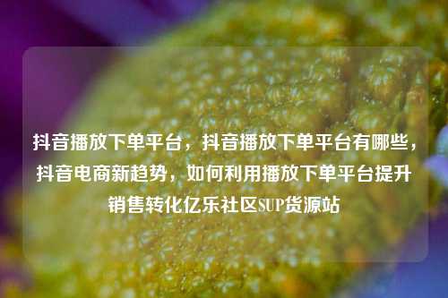 抖音播放下单平台，抖音播放下单平台有哪些，抖音电商新趋势	，如何利用播放下单平台提升销售转化亿乐社区SUP货源站  第1张