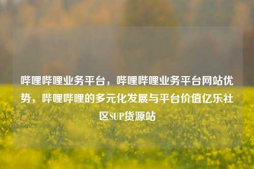 哔哩哔哩业务平台，哔哩哔哩业务平台网站优势，哔哩哔哩的多元化发展与平台价值亿乐社区SUP货源站  第1张