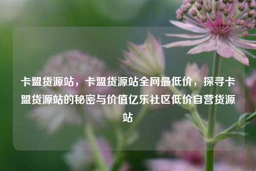 卡盟货源站，卡盟货源站全网最低价，探寻卡盟货源站的秘密与价值亿乐社区低价自营货源站  第1张