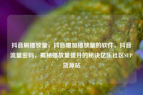 抖音刷播放量，抖音增加播放量的软件，抖音流量密码，揭秘播放量提升的秘诀亿乐社区SUP货源站  第1张