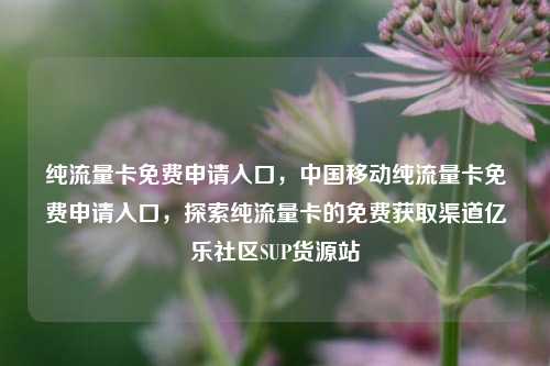 纯流量卡免费申请入口，中国移动纯流量卡免费申请入口，探索纯流量卡的免费获取渠道亿乐社区SUP货源站  第1张