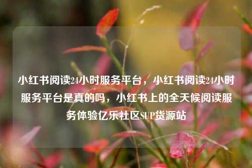 小红书阅读24小时服务平台，小红书阅读24小时服务平台是真的吗，小红书上的全天候阅读服务体验亿乐社区SUP货源站  第1张