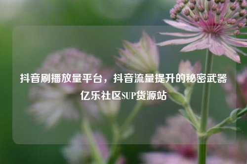 抖音刷播放量平台，抖音流量提升的秘密武器亿乐社区SUP货源站  第1张