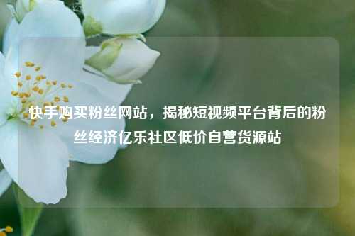 快手购买粉丝网站，揭秘短视频平台背后的粉丝经济亿乐社区低价自营货源站  第1张
