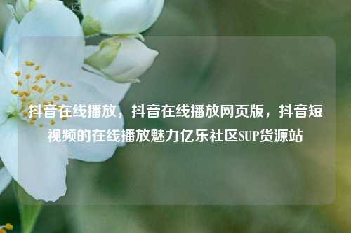 抖音在线播放，抖音在线播放网页版，抖音短视频的在线播放魅力亿乐社区SUP货源站  第1张