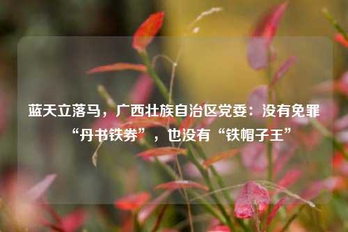 蓝天立落马，广西壮族自治区党委：没有免罪“丹书铁券”，也没有“铁帽子王”  第1张