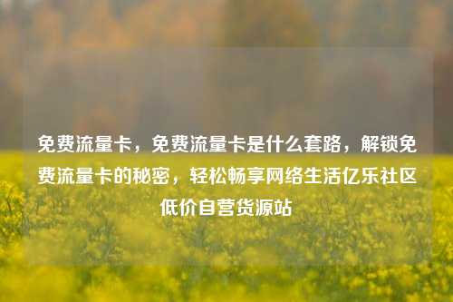 免费流量卡，免费流量卡是什么套路，解锁免费流量卡的秘密，轻松畅享网络生活亿乐社区低价自营货源站  第1张