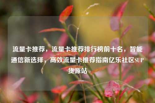 流量卡推荐，流量卡推荐排行榜前十名，智能通信新选择，高效流量卡推荐指南亿乐社区SUP货源站  第1张