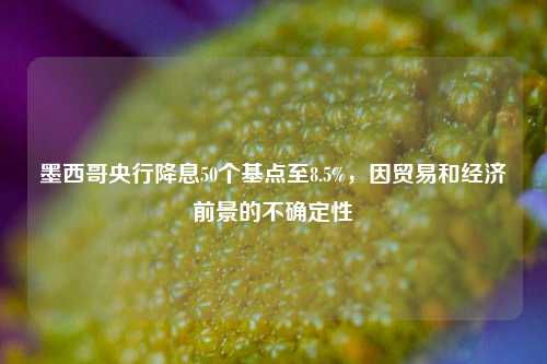 墨西哥央行降息50个基点至8.5%，因贸易和经济前景的不确定性  第1张