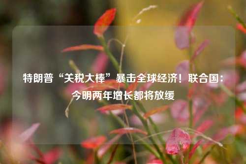 特朗普“关税大棒”暴击全球经济！联合国：今明两年增长都将放缓  第1张
