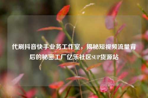 代刷抖音快手业务工作室，揭秘短视频流量背后的秘密工厂亿乐社区SUP货源站  第1张