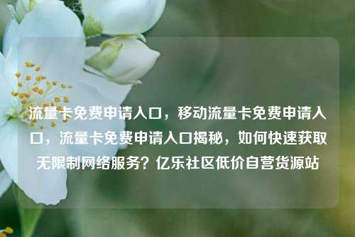 流量卡免费申请入口	，移动流量卡免费申请入口，流量卡免费申请入口揭秘，如何快速获取无限制网络服务？亿乐社区低价自营货源站  第1张