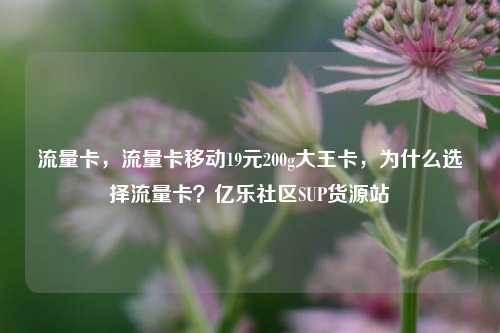 流量卡，流量卡移动19元200g大王卡，为什么选择流量卡？亿乐社区SUP货源站  第1张