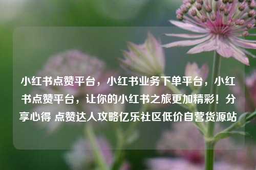 小红书点赞平台，小红书业务下单平台	，小红书点赞平台，让你的小红书之旅更加精彩！分享心得 点赞达人攻略亿乐社区低价自营货源站  第1张