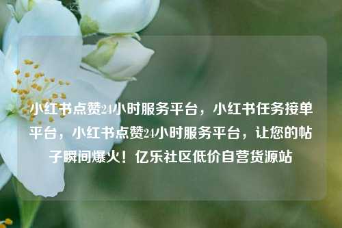 小红书点赞24小时服务平台，小红书任务接单平台，小红书点赞24小时服务平台，让您的帖子瞬间爆火！亿乐社区低价自营货源站  第1张