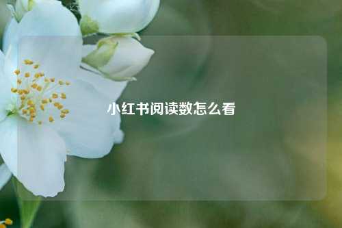 小红书阅读数怎么看  第1张