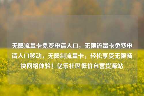 无限流量卡免费申请入口，无限流量卡免费申请入口移动	，无限制流量卡，轻松享受无限畅快网络体验！亿乐社区低价自营货源站  第1张