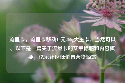 流量卡	，流量卡移动19元200g大王卡，当然可以。以下是一篇关于流量卡的文章标题和内容概要，亿乐社区低价自营货源站  第1张