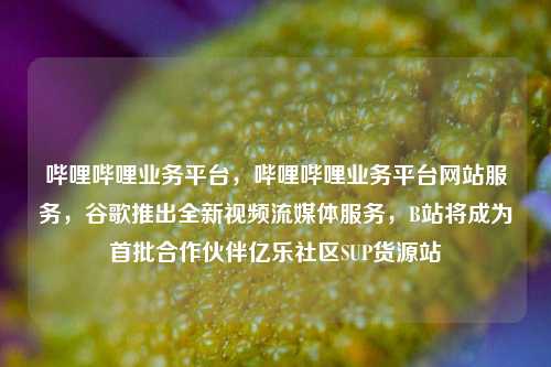 哔哩哔哩业务平台，哔哩哔哩业务平台网站服务	，谷歌推出全新视频流媒体服务，B站将成为首批合作伙伴亿乐社区SUP货源站  第1张