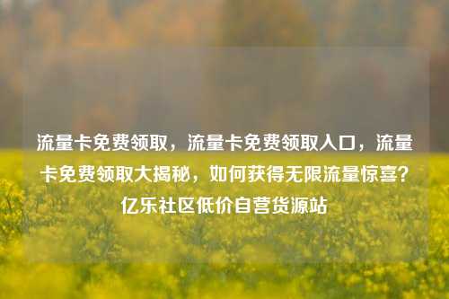 流量卡免费领取	，流量卡免费领取入口，流量卡免费领取大揭秘，如何获得无限流量惊喜？亿乐社区低价自营货源站  第1张