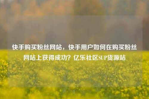 快手购买粉丝网站，快手用户如何在购买粉丝网站上获得成功？亿乐社区SUP货源站  第1张