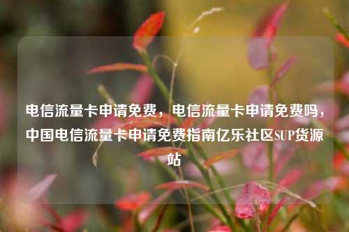 电信流量卡申请免费	，电信流量卡申请免费吗，中国电信流量卡申请免费指南亿乐社区SUP货源站  第1张